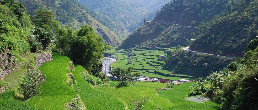 UPDATE ON THE SITUATION IN THE CORDILLERA